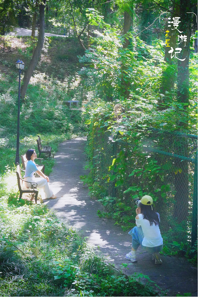 荷香润身心，运动焕活力，古塔藏诗意。在青山公园，运动、赏景、遛娃、休闲一站式实现。