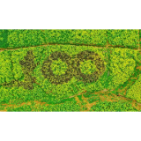 娄星区：油菜花创意造型献礼建党100周年