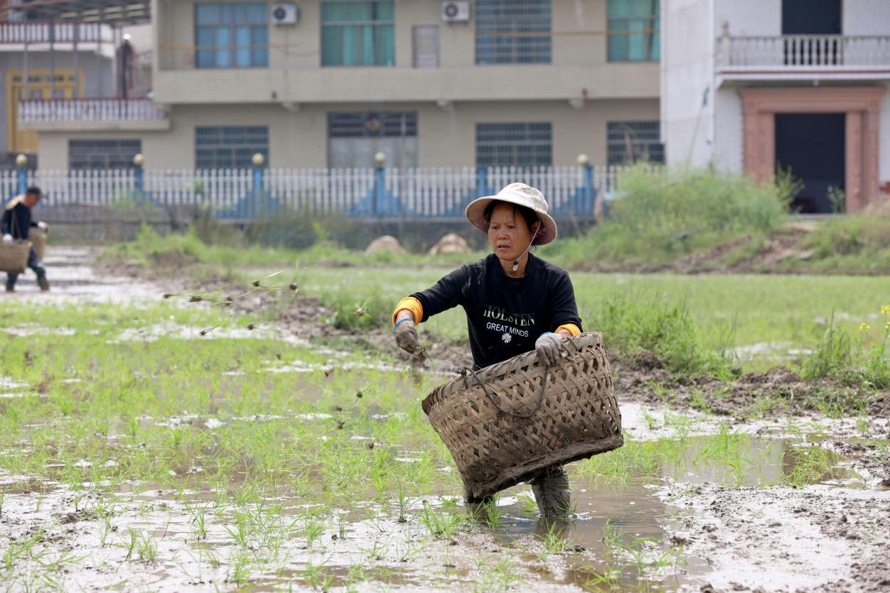 图片4.png 图片4.png