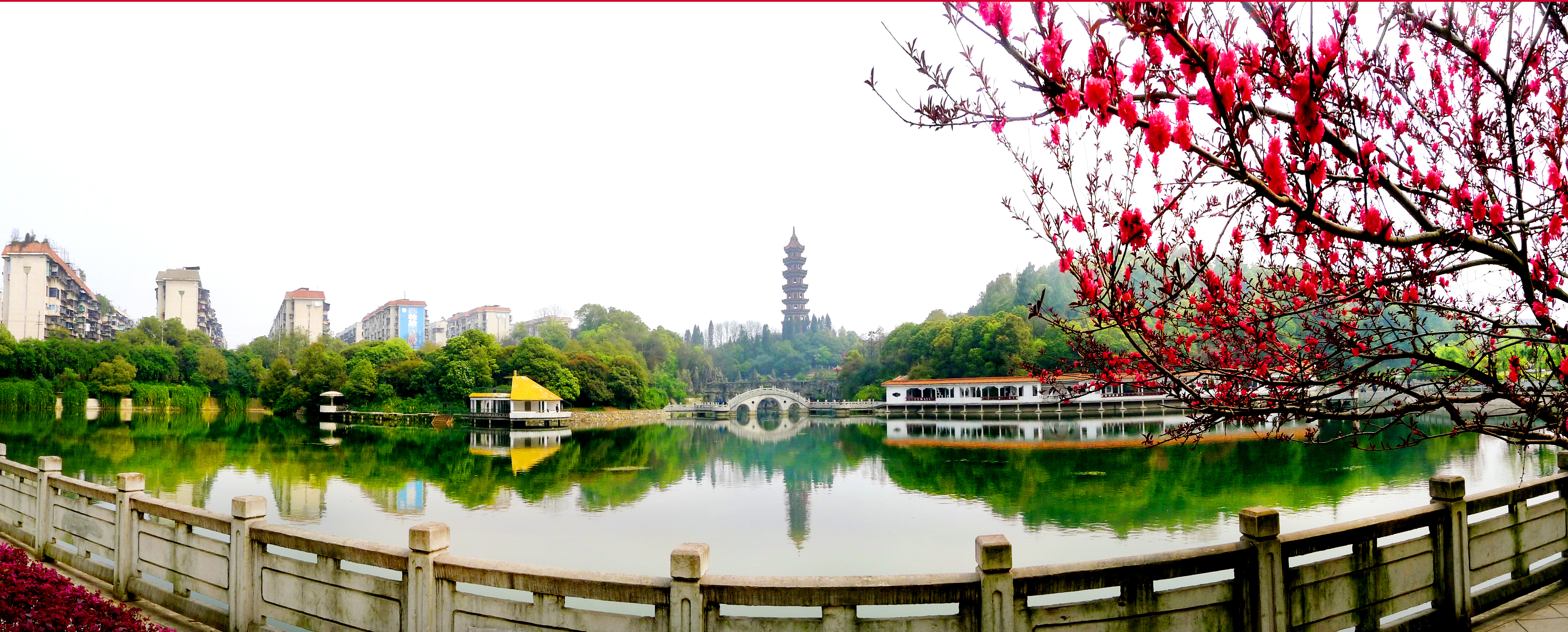 青山公园.jpg