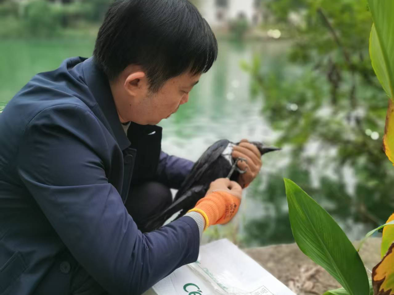 微信图片_20251030145256_258_56.jpg 微信图片_20251030145256_258_56.jpg