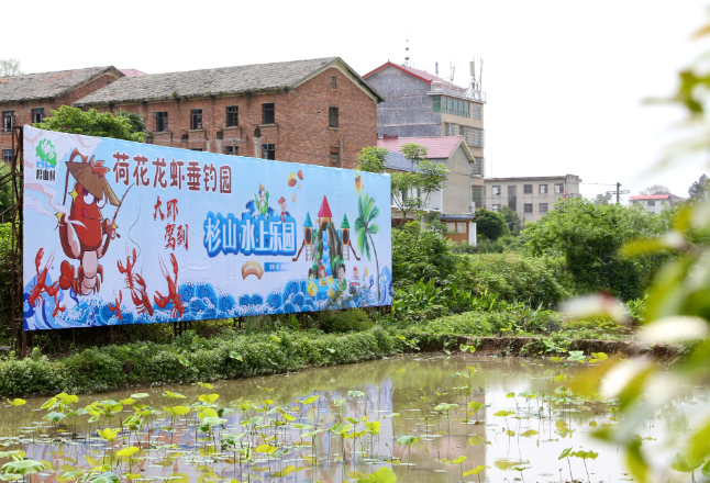 娄星区：“趣”钓龙虾 带火亲子游 