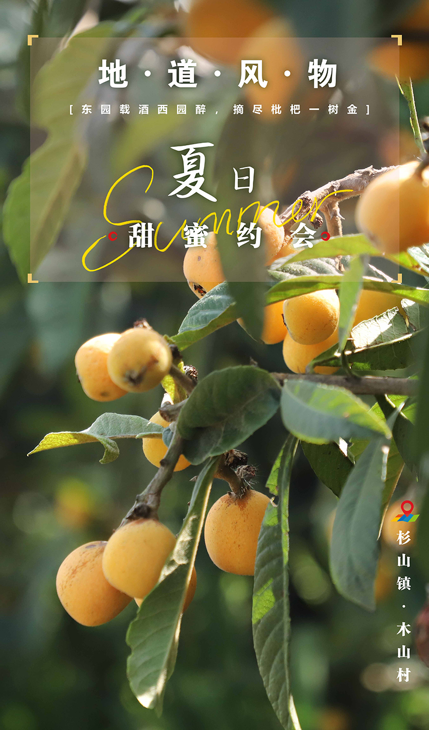 枇杷.jpg