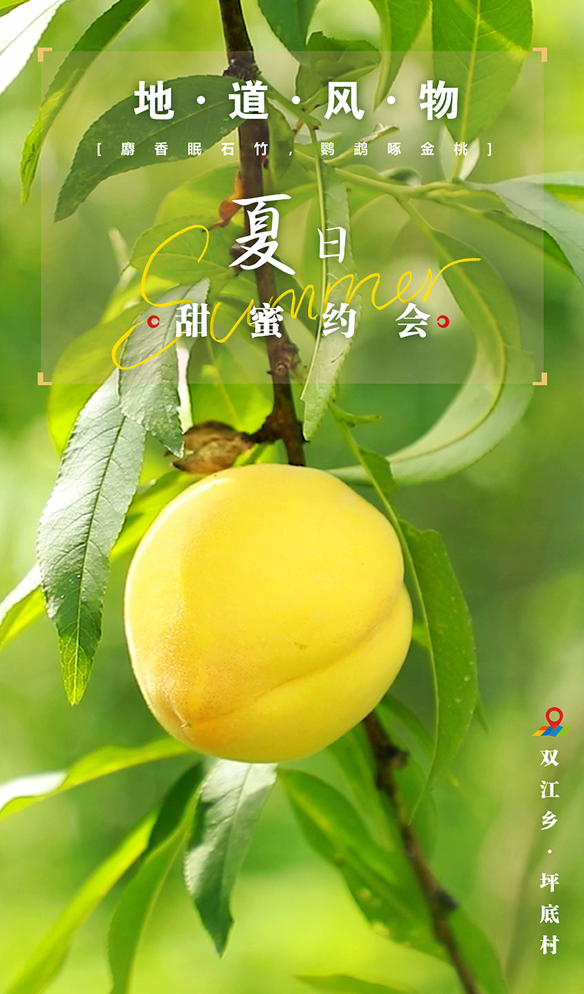黄桃.jpg