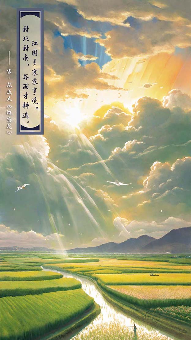 谷雨4.jpg