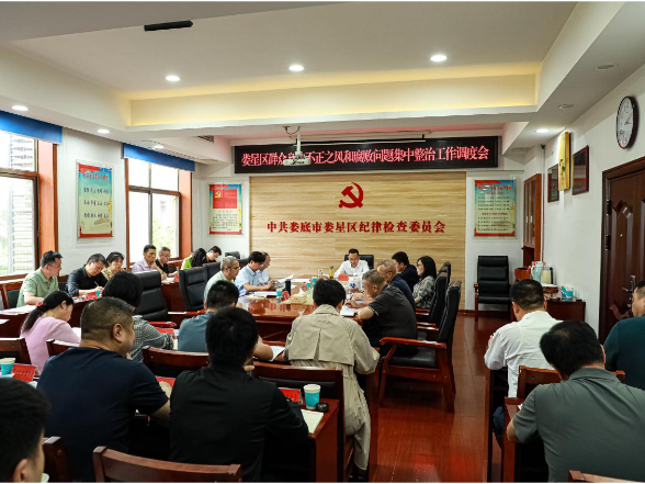 区纪委监委召开群众身边不正之风和腐败问题集中整治工作调度会