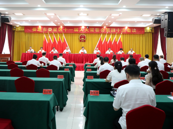 娄星区十一届人大常委会第四十次会议决定 赖毅任区人民政府代理区长