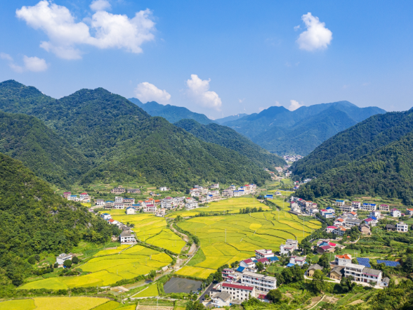 娄星区政协开展“助力旅发大会 助推文旅赋能乡村振兴”专题调研