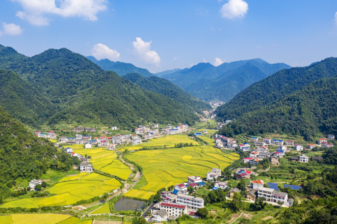 娄星区政协开展“助力旅发大会 助推文旅赋能乡村振兴”专题调研