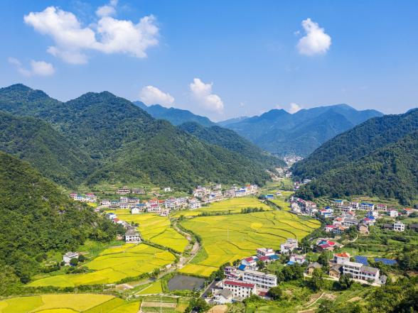 欧盟湖南总商会来娄星区考察 