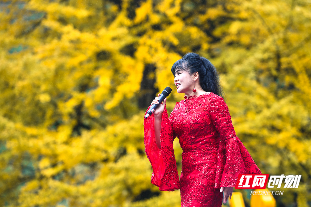 DSC_6833.jpg DSC_6833.jpg