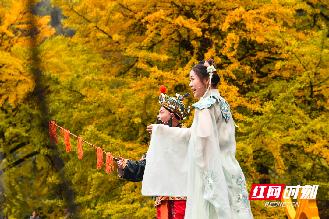 DSC_6768.jpg DSC_6768.jpg