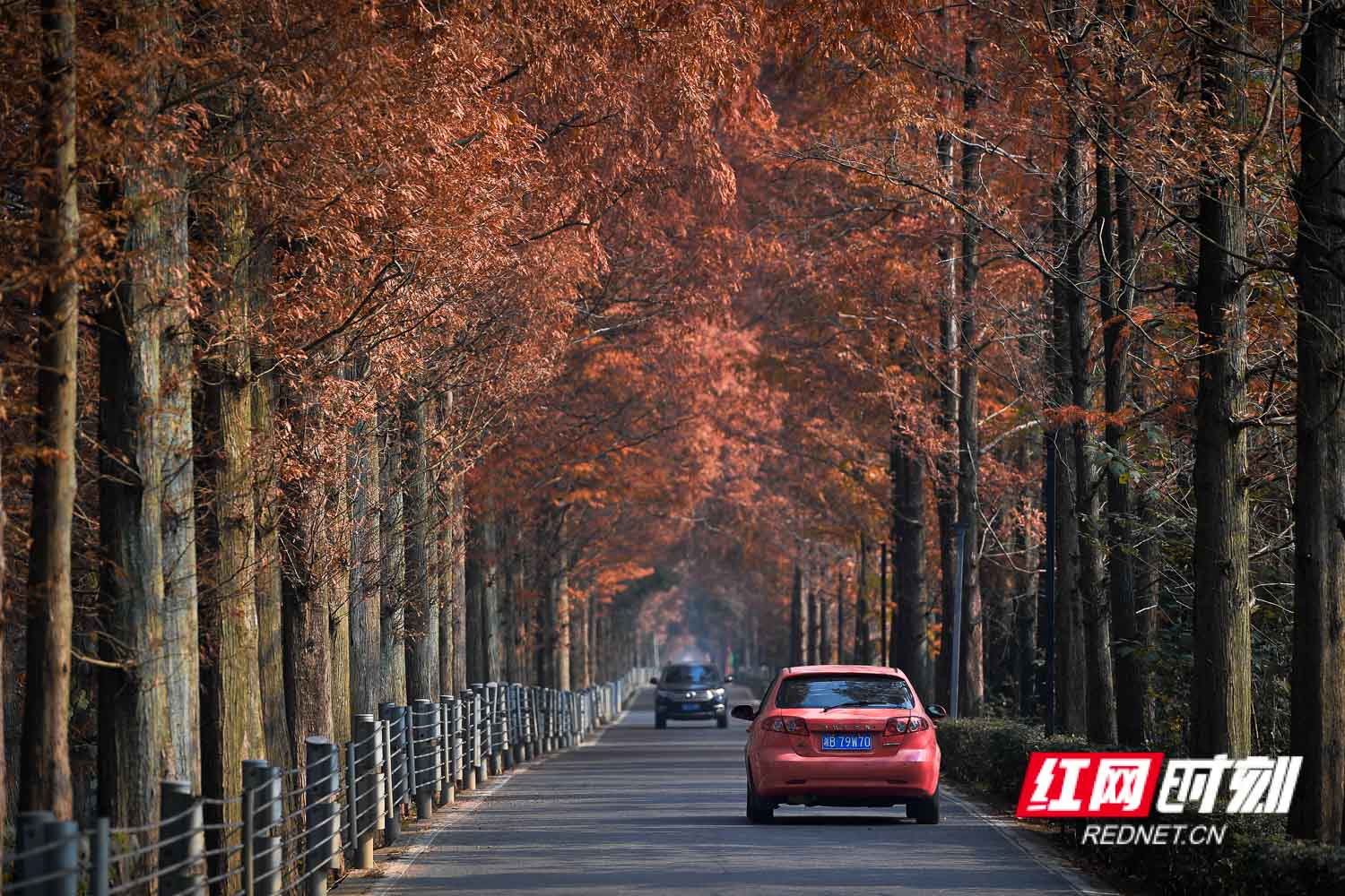 DSC_8866.jpg DSC_8866.jpg