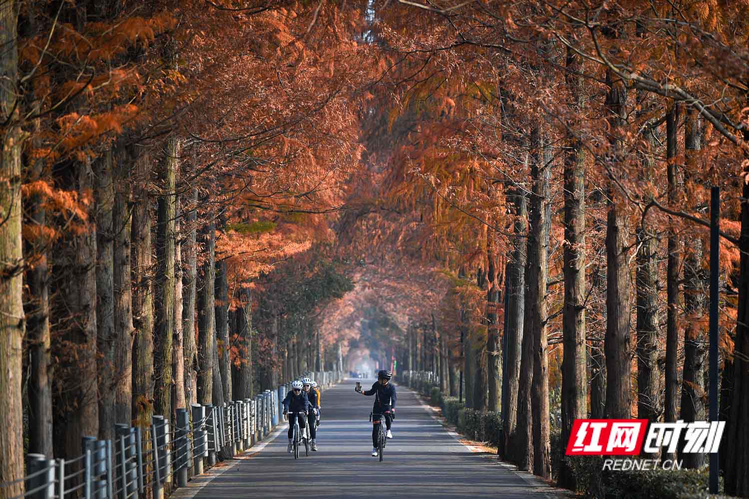 DSC_8877.jpg DSC_8877.jpg