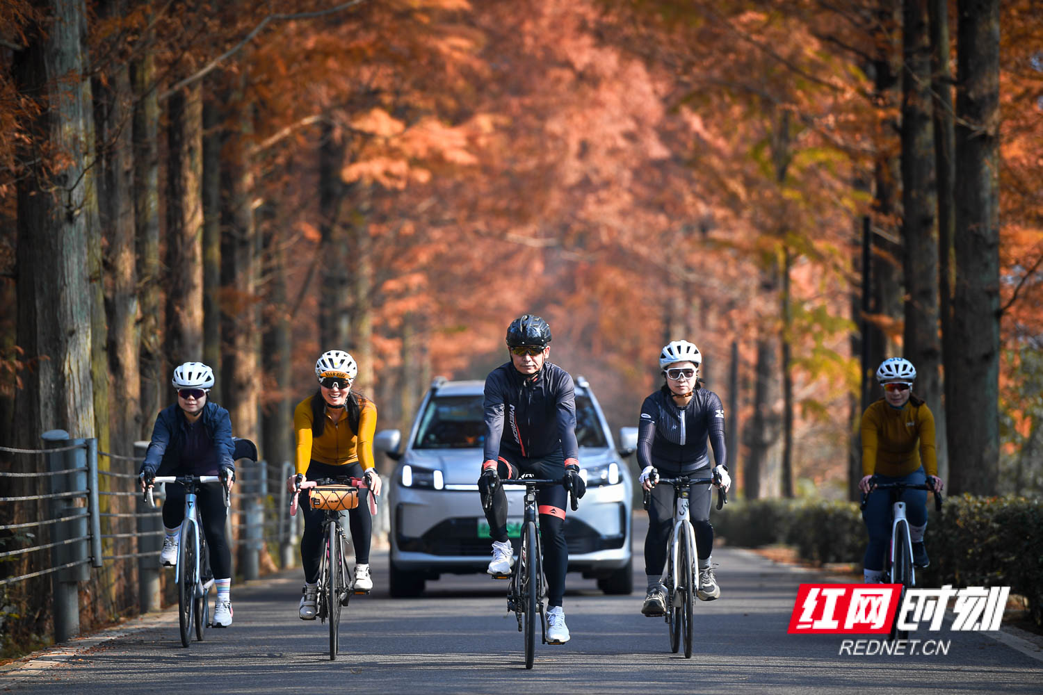 DSC_8967.jpg DSC_8967.jpg