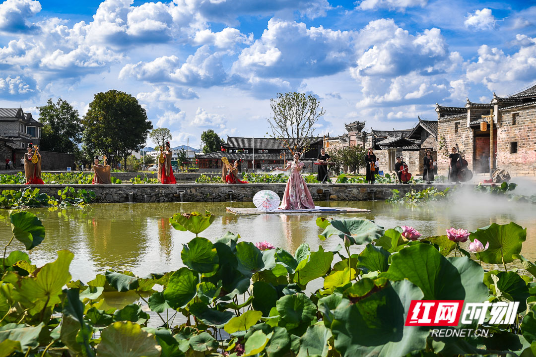 DSC_1012.jpg DSC_1012.jpg