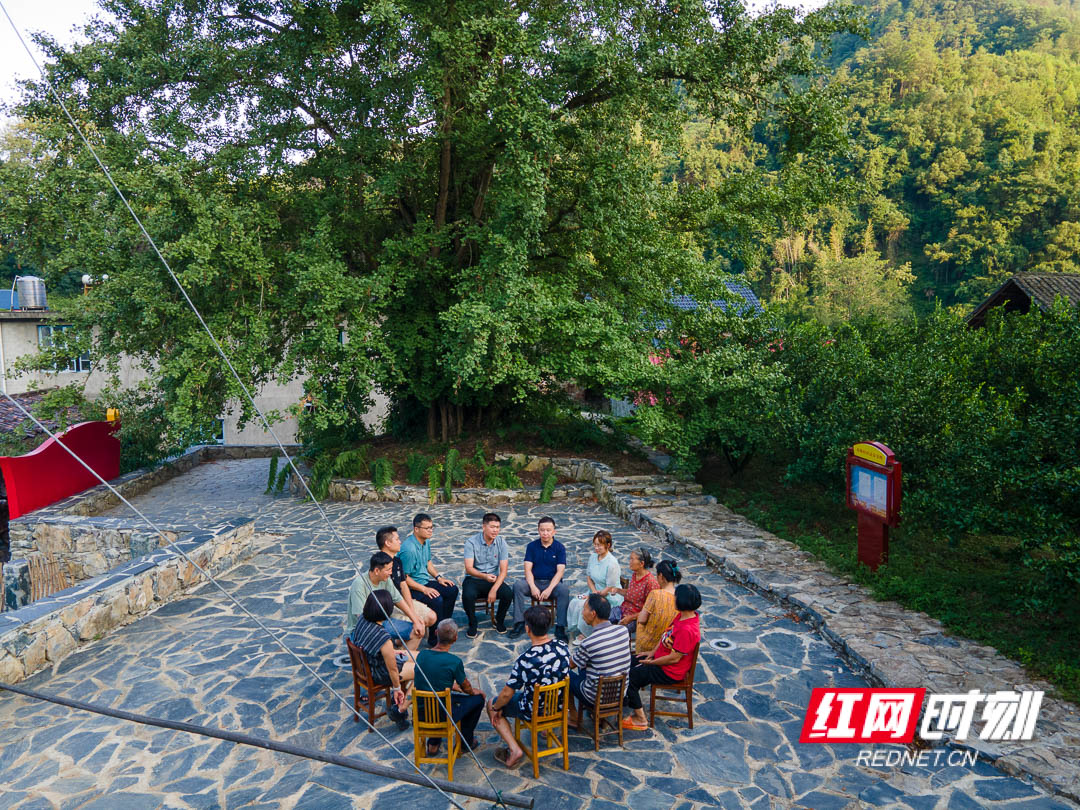 DJI_0976.jpg DJI_0976.jpg