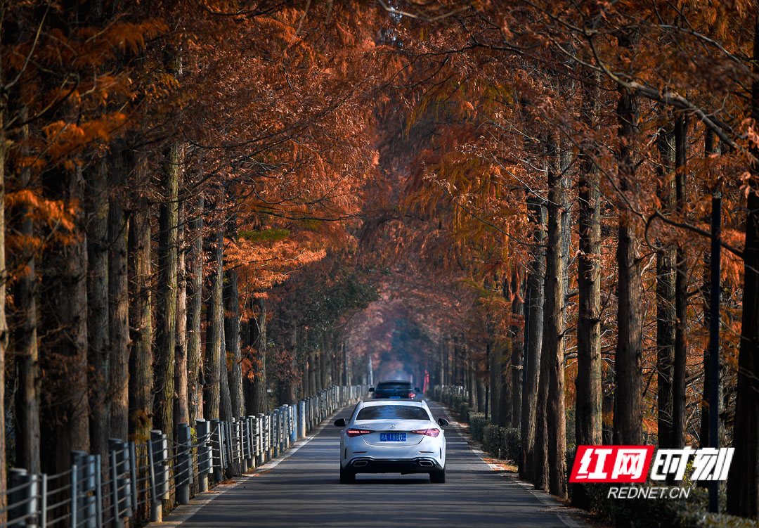 DSC_8891.jpg DSC_8891.jpg