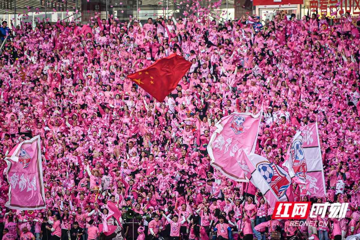 DSC_8422.jpg DSC_8422.jpg