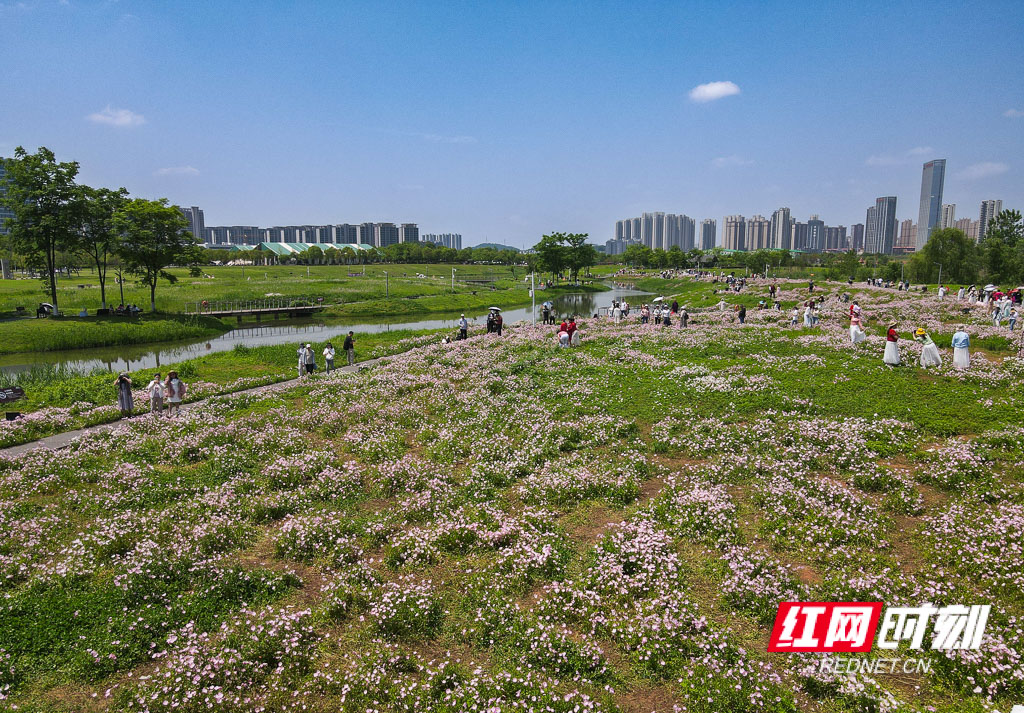 DJI_0693.jpg