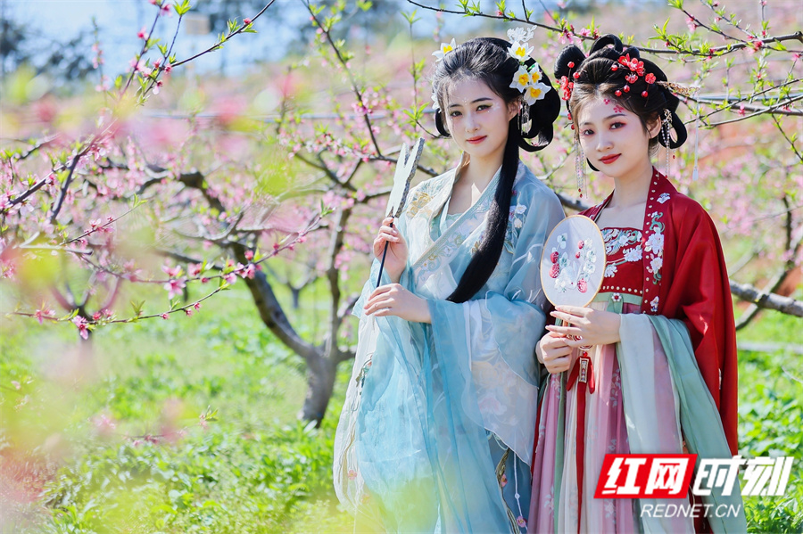 桃花朵朵开 韶山市第二届花朝节暨乡村文化旅游节来了