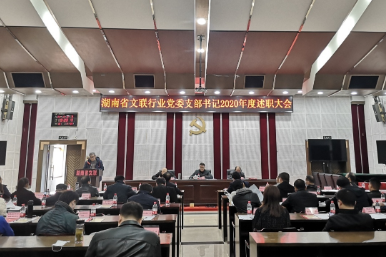 省文联行业党委召开社会组织党支部书记2020年度述职大会