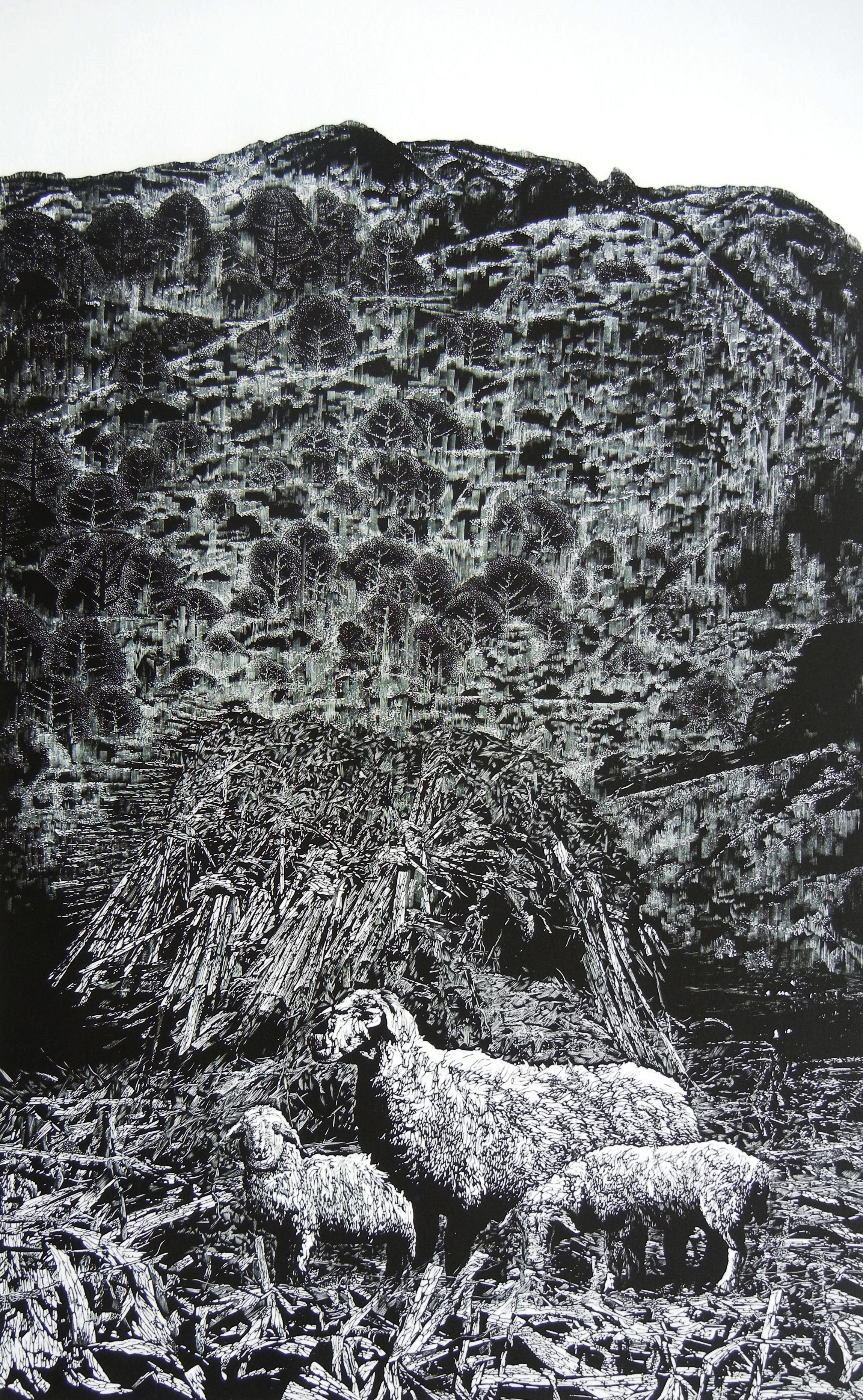 《沃土》林军     黑白木刻  91x145cm 2014年  入选第十二届全国美术作品展（中华人民共和国文化部、中国文学艺术界联合会、中国美术家协会）.JPG