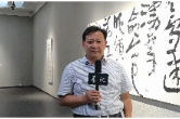 视频丨“游于斯——陈阳静书法作品展”之鄢福初主席专访
